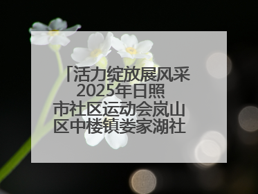 活力绽放展风采 2025年日照市社区运动会岚山区中楼镇娄家湖社区专场举行