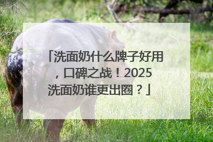 洗面奶什么牌子好用，口碑之战！2025洗面奶谁更出圈？