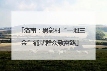 洛南：黑彰村“一地三金”铺就群众致富路