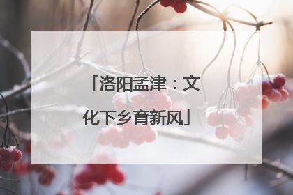洛阳孟津：文化下乡育新风