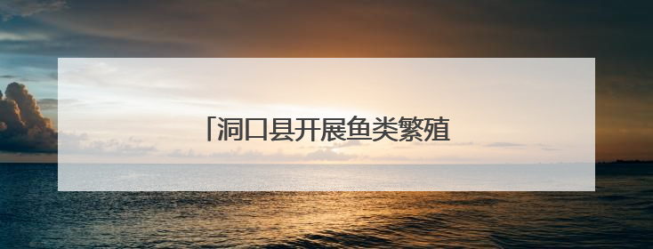 洞口县开展鱼类繁殖期护渔专项执法行动
