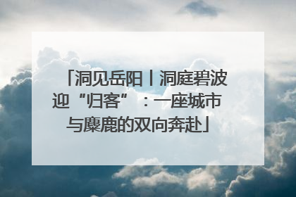 洞见岳阳丨洞庭碧波迎“归客”：一座城市与麋鹿的双向奔赴