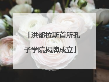洪都拉斯首所孔子学院揭牌成立