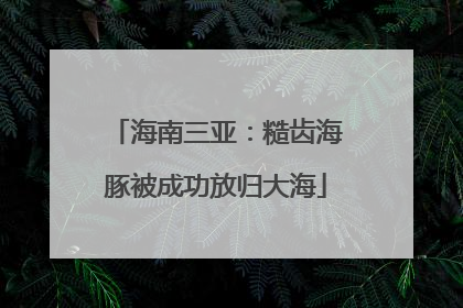 海南三亚：糙齿海豚被成功放归大海