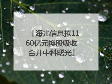 海光信息拟1160亿元换股吸收合并中科曙光