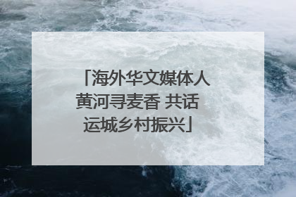 海外华文媒体人黄河寻麦香 共话运城乡村振兴