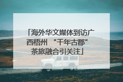 海外华文媒体到访广西梧州 “千年古郡”茶旅融合引关注