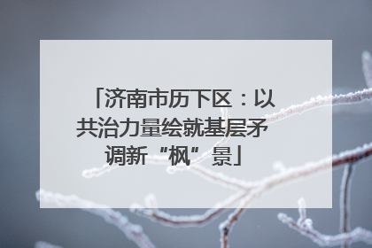 济南市历下区：以共治力量绘就基层矛调新“枫”景