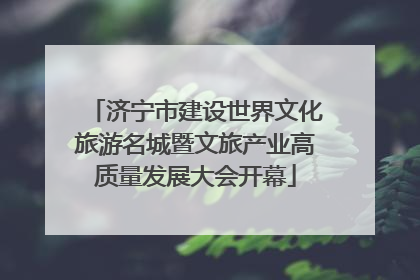 济宁市建设世界文化旅游名城暨文旅产业高质量发展大会开幕