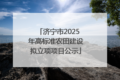 济宁市2025年高标准农田建设拟立项项目公示