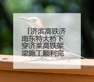 济滨高铁济南东特大桥下穿济莱高铁架梁施工顺利完成
