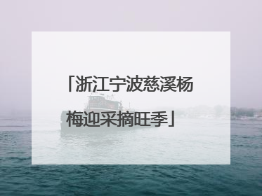 浙江宁波慈溪杨梅迎采摘旺季