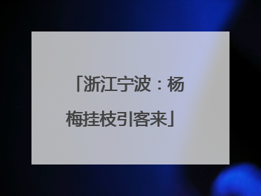 浙江宁波：杨梅挂枝引客来