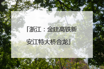 浙江：金建高铁新安江特大桥合龙
