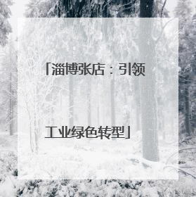 淄博张店：引领工业绿色转型