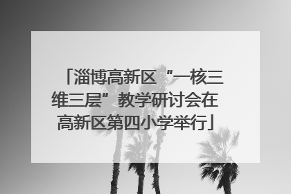 淄博高新区“一核三维三层”教学研讨会在高新区第四小学举行