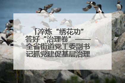 淬炼“绣花功” 答好“治理卷”——全省街道党工委副书记抓党建促基层治理培训示范班侧记