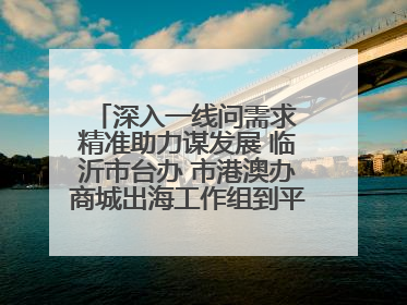 深入一线问需求 精准助力谋发展 临沂市台办 市港澳办商城出海工作组到平邑县走访调研
