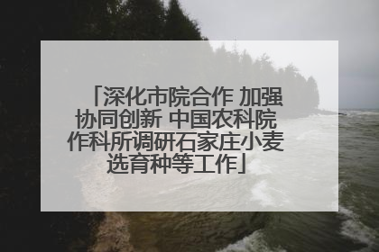 深化市院合作 加强协同创新 中国农科院作科所调研石家庄小麦选育种等工作