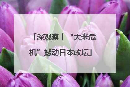 深观察丨“大米危机”撼动日本政坛