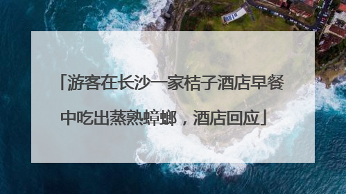 游客在长沙一家桔子酒店早餐中吃出蒸熟蟑螂，酒店回应