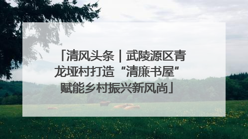 清风头条｜武陵源区青龙垭村打造“清廉书屋”赋能乡村振兴新风尚
