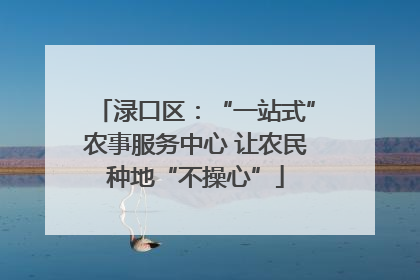 渌口区：“一站式”农事服务中心 让农民种地“不操心”