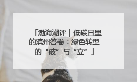 渤海潮评｜低碳日里的滨州答卷：绿色转型的“破”与“立”