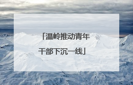 温岭推动青年干部下沉一线