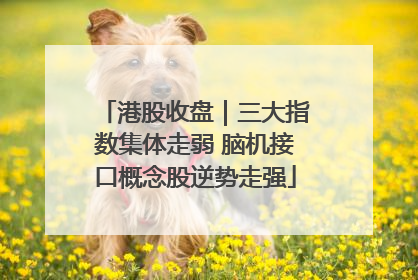 港股收盘｜三大指数集体走弱 脑机接口概念股逆势走强