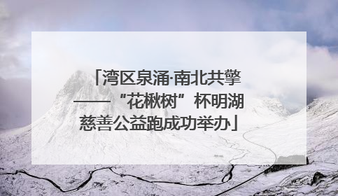 湾区泉涌·南北共擎——“花楸树”杯明湖慈善公益跑成功举办