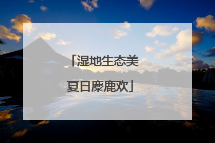 湿地生态美 夏日麋鹿欢