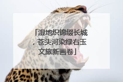湿地织锦缀长城，苍头河染绿右玉文旅新画卷
