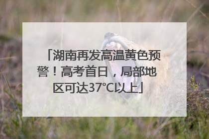 湖南再发高温黄色预警！高考首日，局部地区可达37℃以上