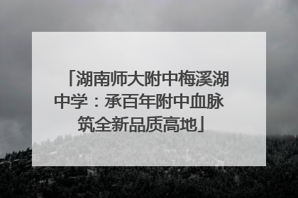湖南师大附中梅溪湖中学：承百年附中血脉 筑全新品质高地