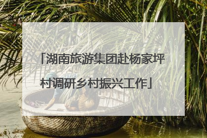 湖南旅游集团赴杨家坪村调研乡村振兴工作