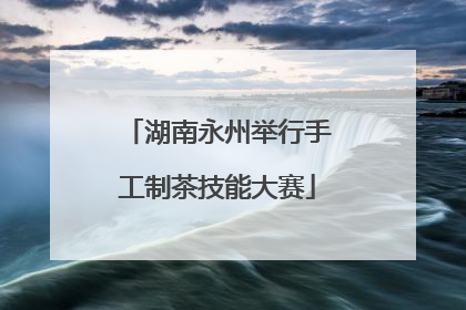湖南永州举行手工制茶技能大赛