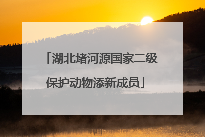 湖北堵河源国家二级保护动物添新成员
