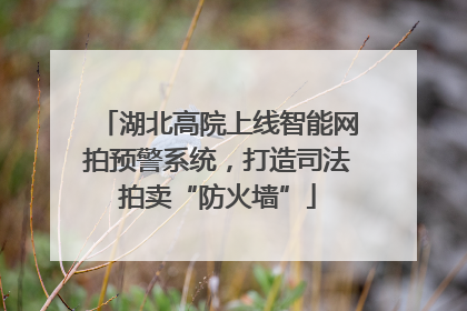 湖北高院上线智能网拍预警系统，打造司法拍卖“防火墙”