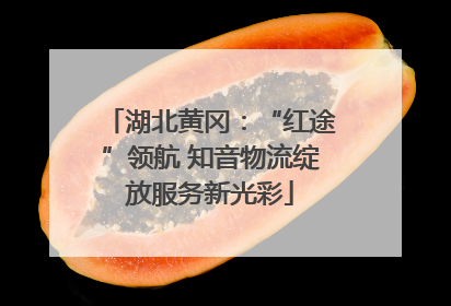湖北黄冈：“红途”领航 知音物流绽放服务新光彩