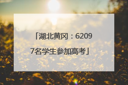 湖北黄冈：62097名学生参加高考
