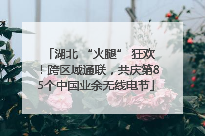 湖北 “火腿” 狂欢！跨区域通联，共庆第85个中国业余无线电节