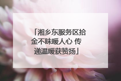 湘乡东服务区拾金不昧暖人心 传递温暖获赞扬