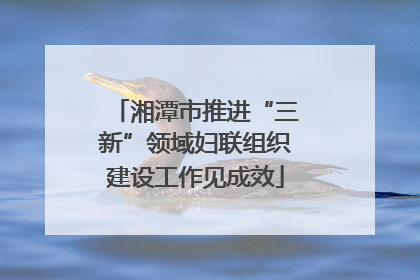 湘潭市推进“三新”领域妇联组织建设工作见成效