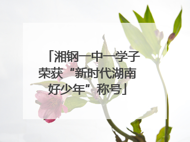 湘钢一中一学子荣获“新时代湖南好少年”称号
