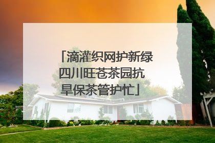 滴灌织网护新绿 四川旺苍茶园抗旱保茶管护忙