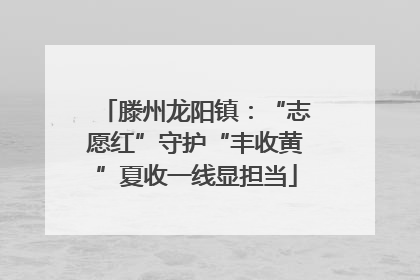 滕州龙阳镇：“志愿红”守护“丰收黄”夏收一线显担当