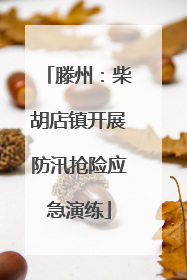 滕州：柴胡店镇开展防汛抢险应急演练