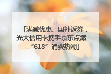 满减优惠、国补返券，光大信用卡携手京东点燃“618”消费热潮