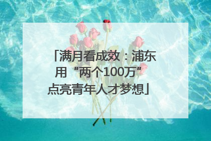 满月看成效：浦东用“两个100万”点亮青年人才梦想